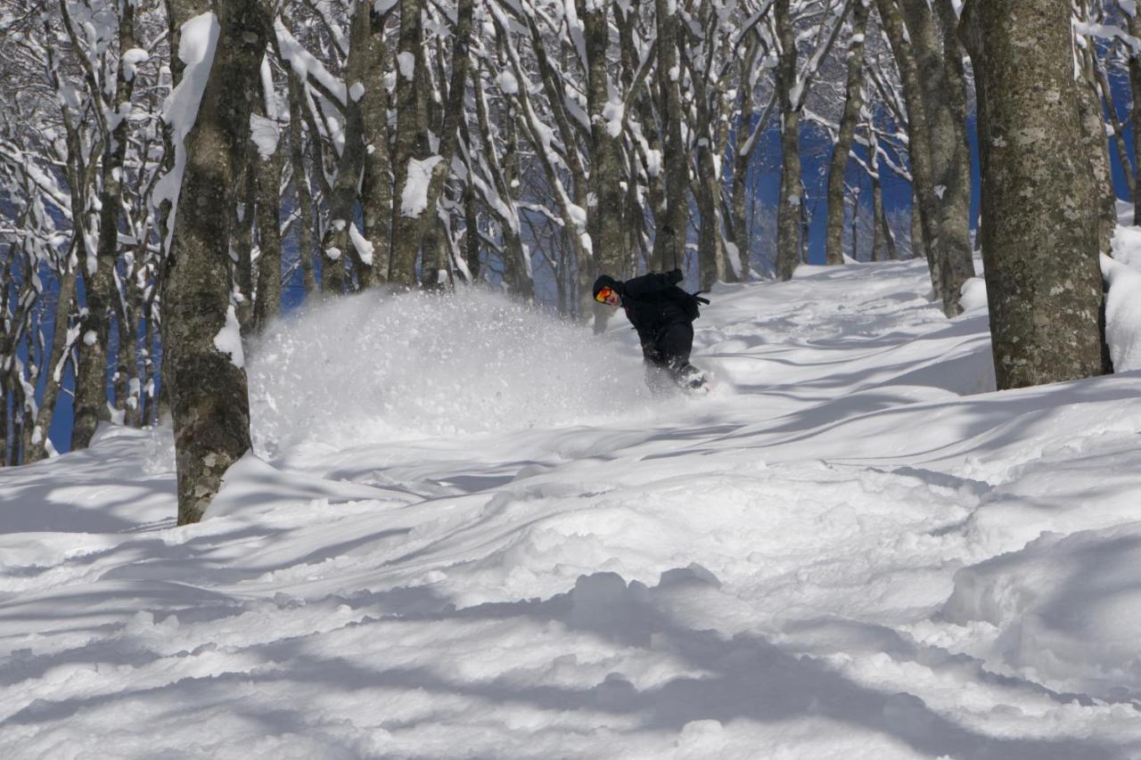 Hotel Monkey Rider Hakuba Exterior foto